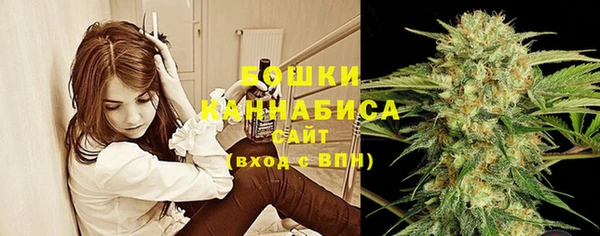 соль ск Медвежьегорск