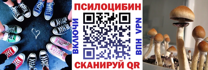 Купить закладки  Владимир  Псилоцибиновые грибы мицелий 